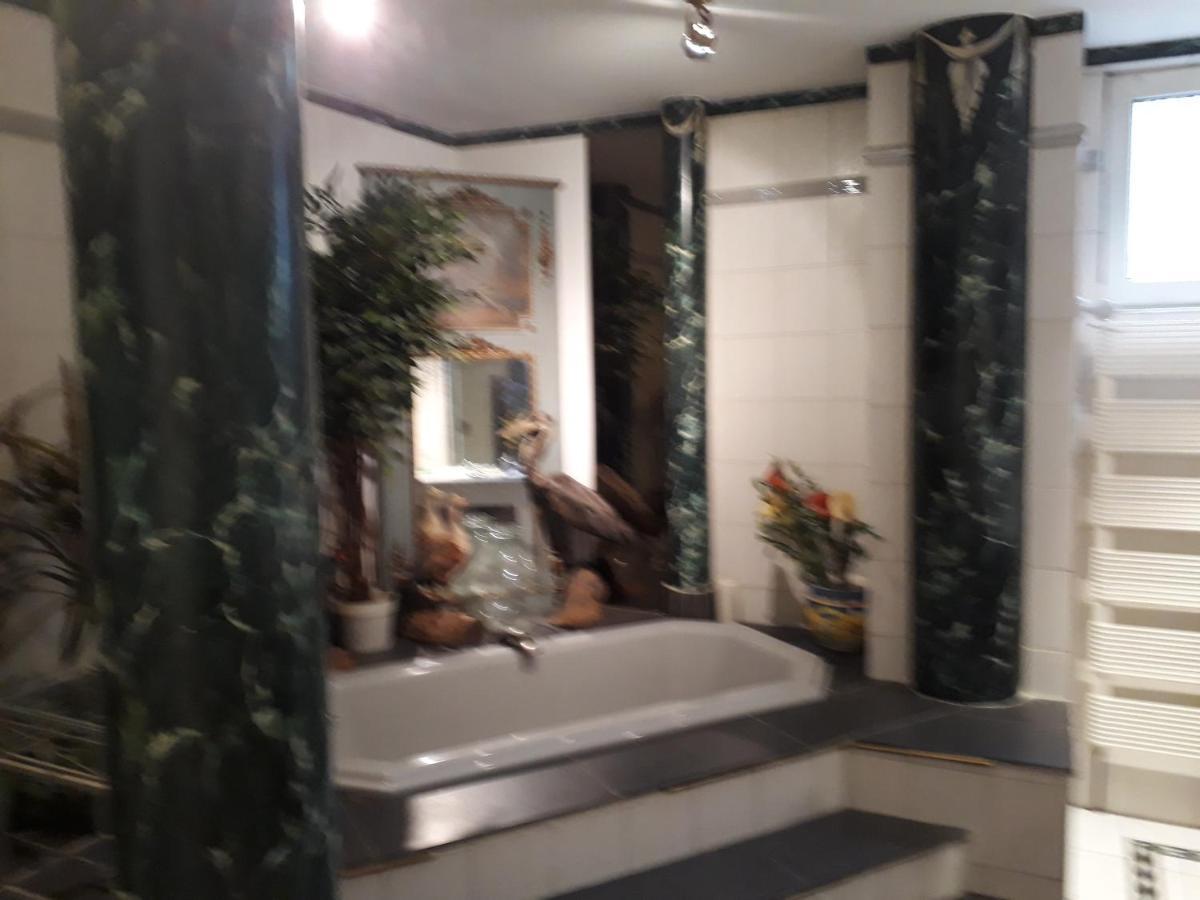 Maison Alsacienne Du 18Eme Siecles Brumath Dış mekan fotoğraf